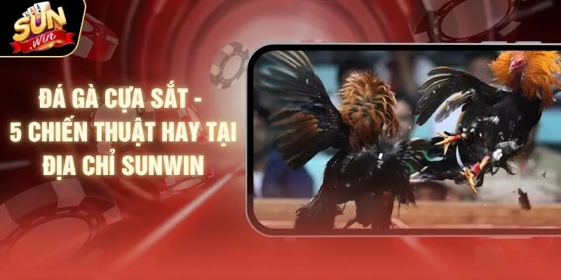 Đá Gà Cựa Sắt - 5 Chiến Thuật Hay Tại Địa Chỉ SUNWIN 1 Đá Gà Cựa Sắt - 5 Chiến Thuật Hay Tại Địa Chỉ SUNWIN