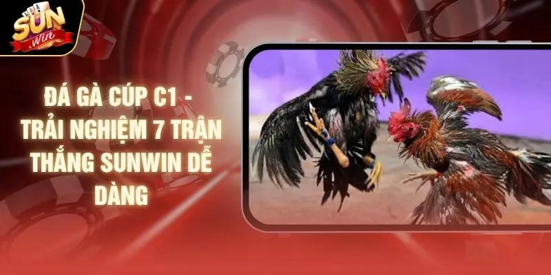 Đá Gà Cúp C1 - Trải Nghiệm 7 Trận Thắng SUNWIN Dễ Dàng 1 Đá Gà Cúp C1 - Trải Nghiệm 7 Trận Thắng SUNWIN Dễ Dàng