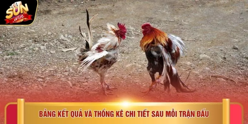 Đá Gà Cúp C1 - Trải Nghiệm 7 Trận Thắng SUNWIN Dễ Dàng 3 Bảng kết quả và thống kê chi tiết sau mỗi trận đấu