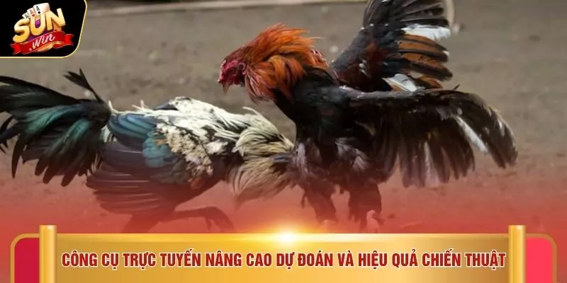 Đá Gà Thomo - Trải Nghiệm 5 Kỹ Thuật Chiến Đấu Tại SUNWIN 4 Công cụ trực tuyến nâng cao dự đoán và hiệu quả chiến thuật