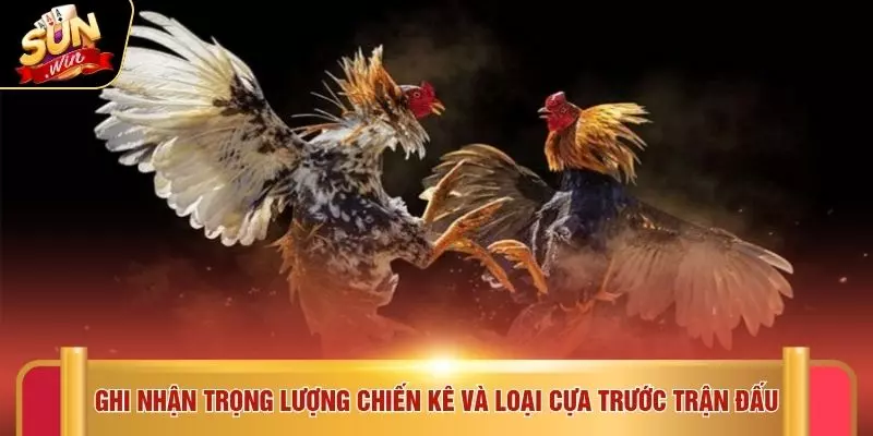 Đá Gà Cựa Sắt - 5 Chiến Thuật Hay Tại Địa Chỉ SUNWIN 3 Ghi nhận trọng lượng chiến kê và loại cựa trước trận đấu