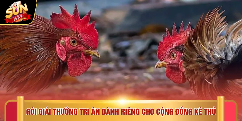 Đá gà Sunwin 3 Gói giải thưởng tri ân dành riêng cho cộng đồng kê thủ