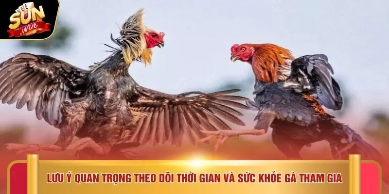 Đá Gà Cúp C1 - Trải Nghiệm 7 Trận Thắng SUNWIN Dễ Dàng 4 Lưu ý quan trọng theo dõi thời gian và sức khỏe gà tham gia