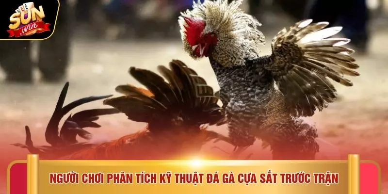 Đá Gà Cựa Sắt - 5 Chiến Thuật Hay Tại Địa Chỉ SUNWIN 2 Người chơi phân tích kỹ thuật đá gà cựa sắt trước trận
