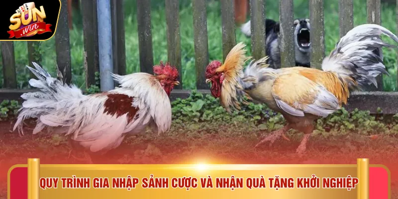 Đá gà Sunwin 5 Quy trình gia nhập sảnh cược và nhận quà tặng khởi nghiệp